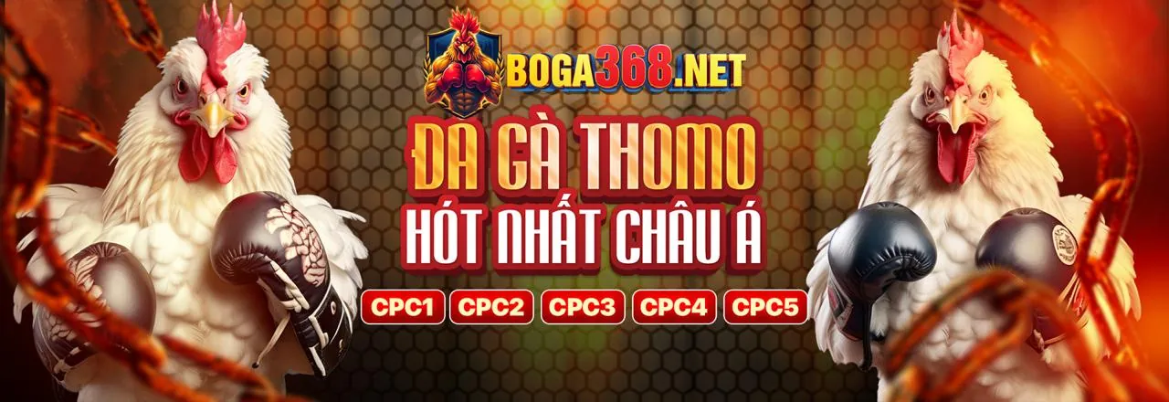 Đá Gà 99kk bet - Sân đấu gà trực tuyến chuyên nghiệp